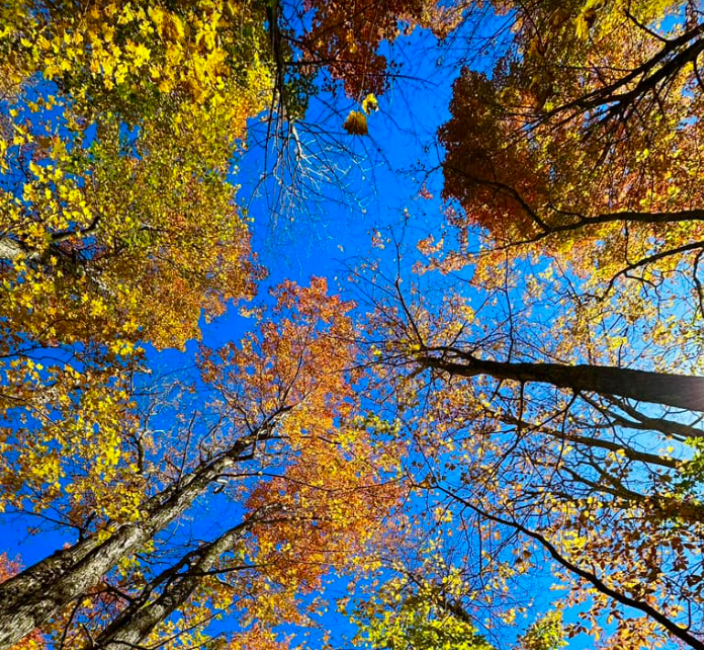 This is October