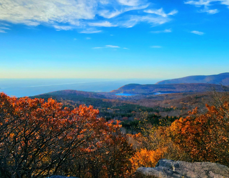 A November to Remember