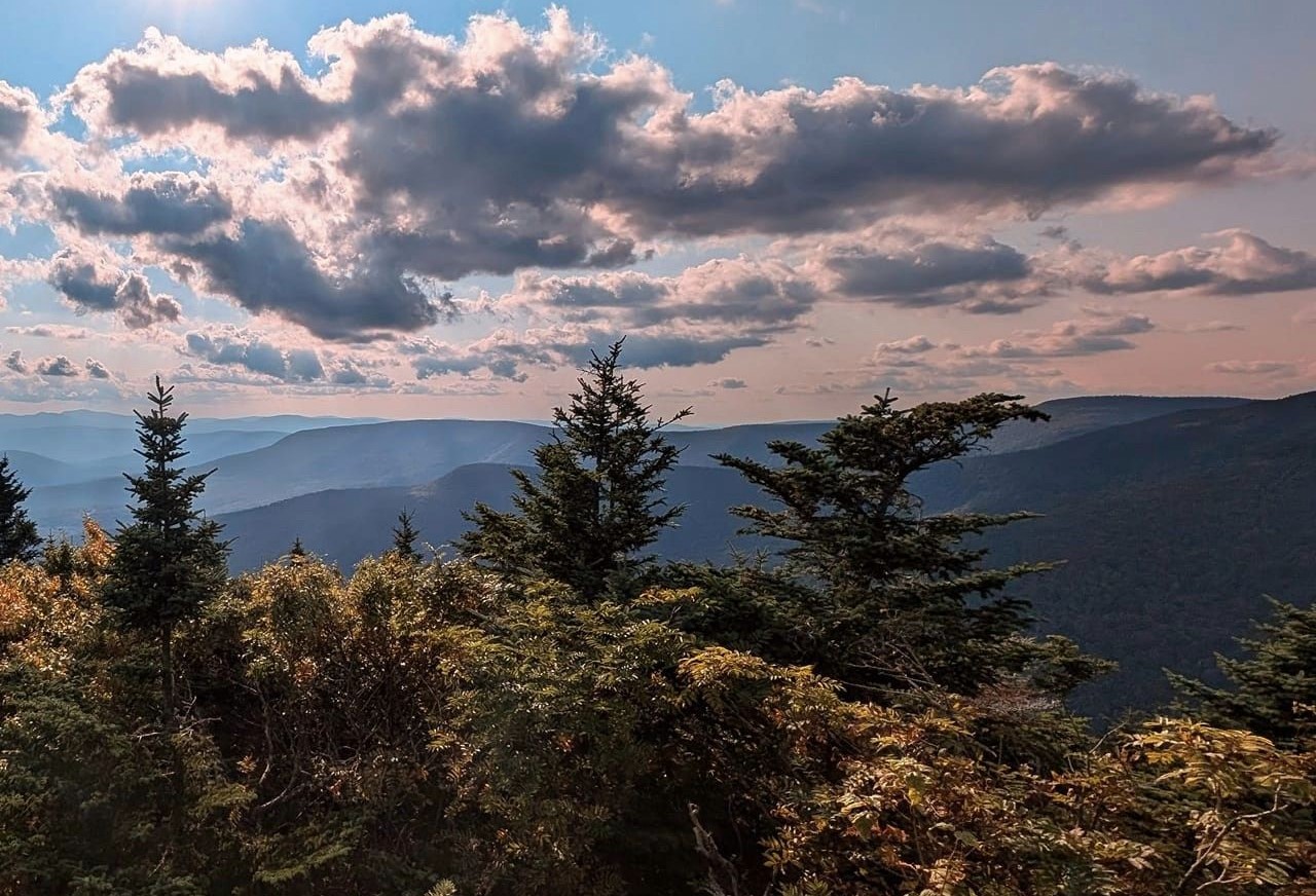 Dreamy Landscapes
