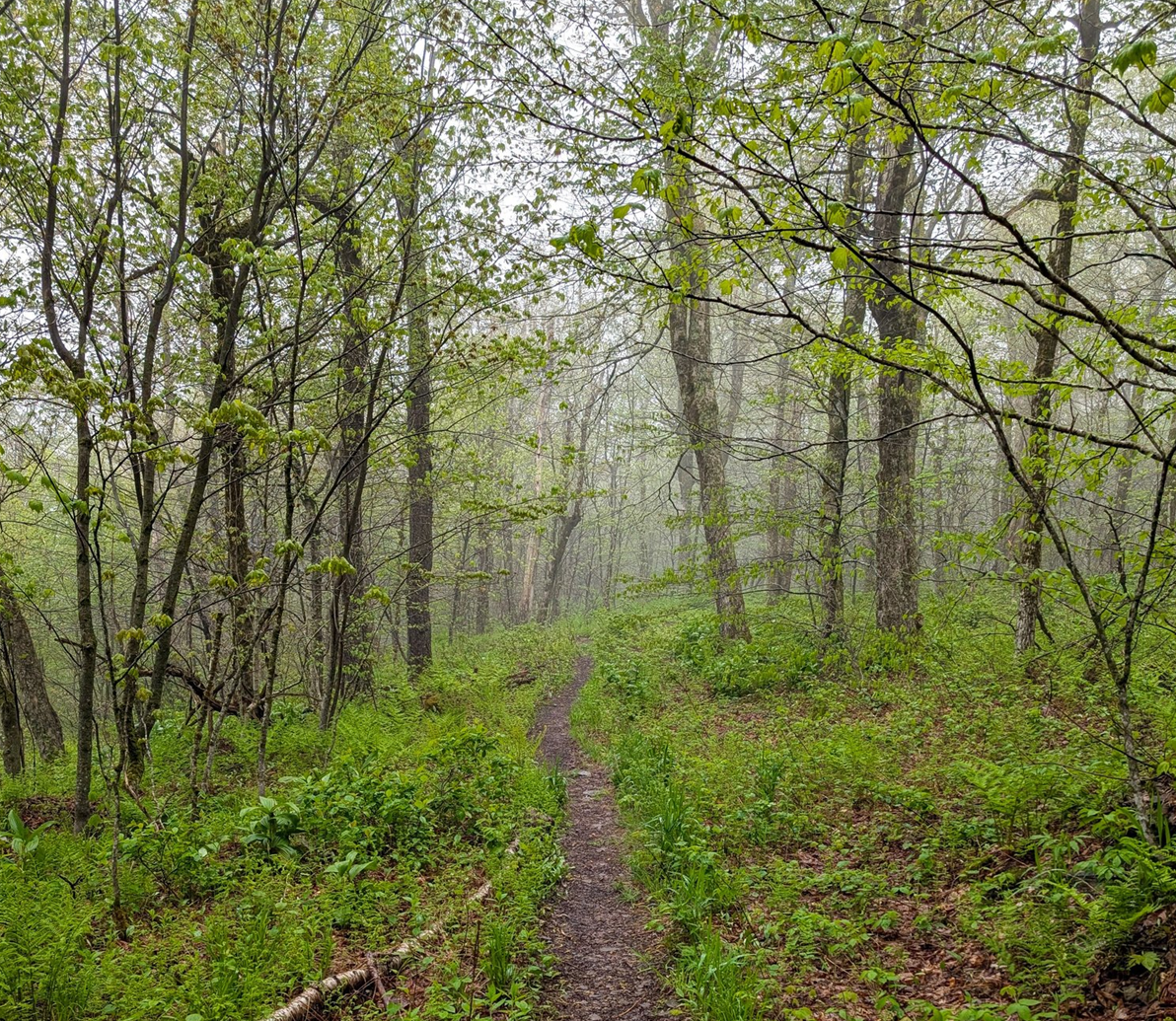 Recharging in the Catskills: How a Weekend Hike Can Melt Away a Week of Stress