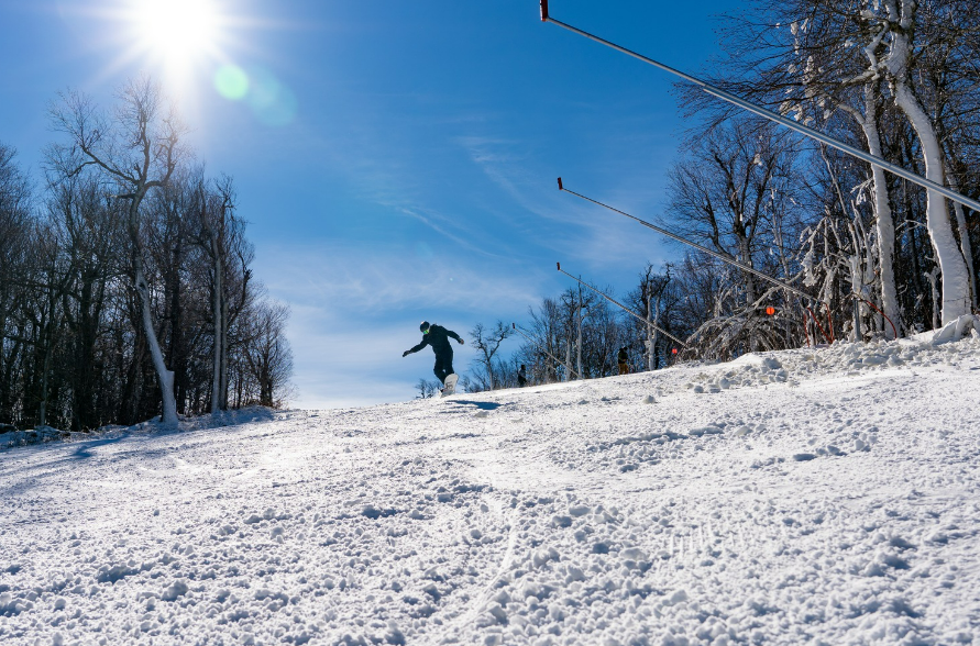 Shred, Baby, Shred!